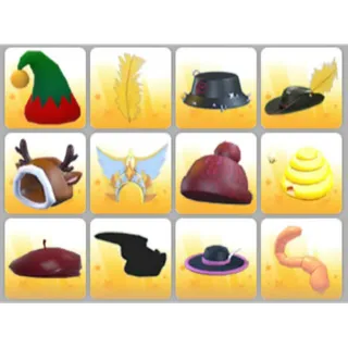 BUNDLE PET WEAR X12