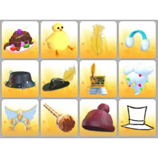 BUNDLE PET WEAR X12