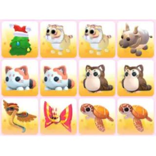 BUNDLE PET X12