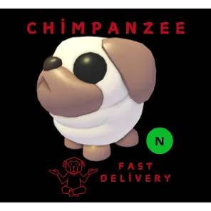 SNOWBALL PUG NEON