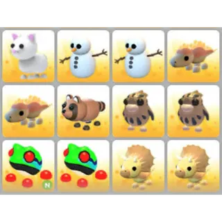 BUNDLE PET X12