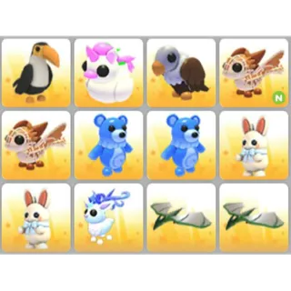 BUNDLE PET X12