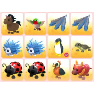 BUNDLE PET X12