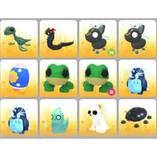 BUNDLE PET X12