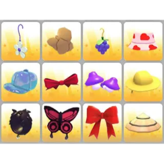 BUNDLE PET WEAR X12