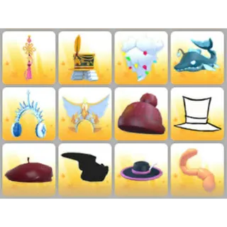 BUNDLE PET WEAR X12