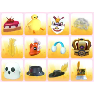 BUNDLE PET WEAR X12