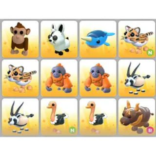 BUNDLE PET X12