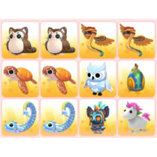 BUNDLE PET X12