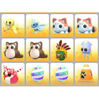 BUNDLE PET X12