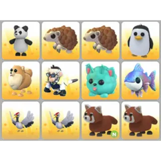 BUNDLE PET X12
