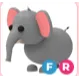 ELEPHANT FR