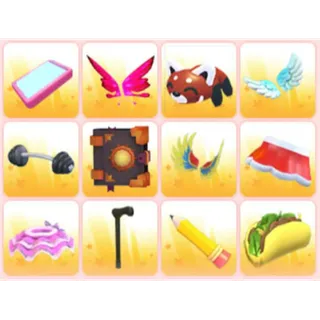 BUNDLE PET WEAR X12