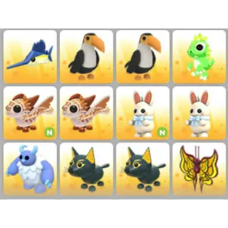 BUNDLE PET X12
