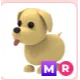 DOG MR