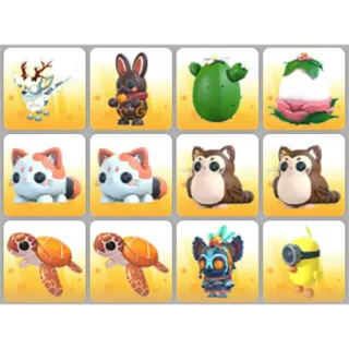 BUNDLE PET X12
