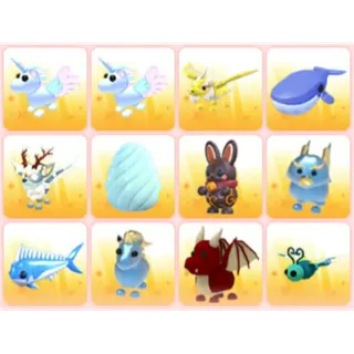 BUNDLE PET X12