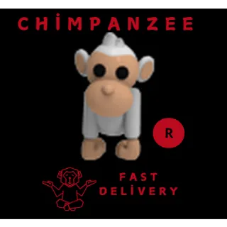 ALBINO MONKEY R