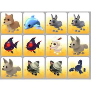 BUNDLE PET X12