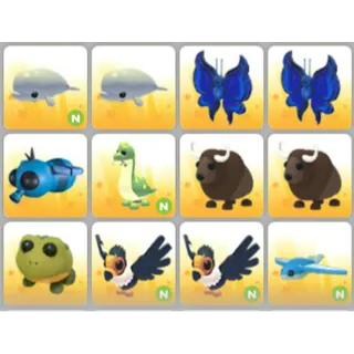 BUNDLE PET X12