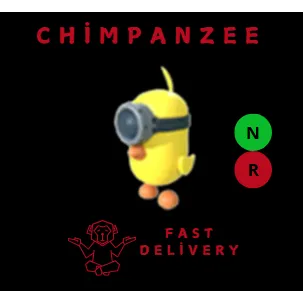 Zodiac Minion Chick NR