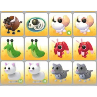 BUNDLE PET X12
