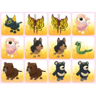 BUNDLE PET X12