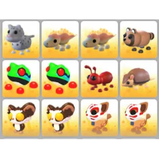 BUNDLE PET X12