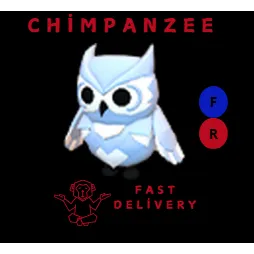 SNOW OWL FR