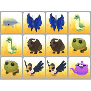 BUNDLE PET X12