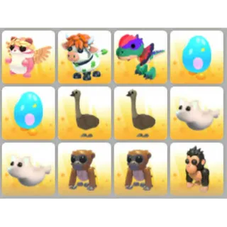 BUNDLE PET X12