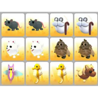 BUNDLE PET X12