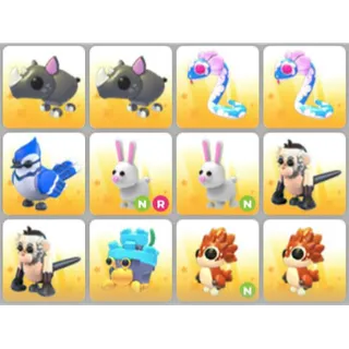 BUNDLE PET X12