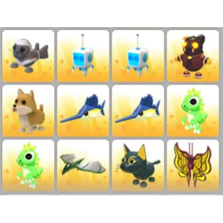 BUNDLE PET X12