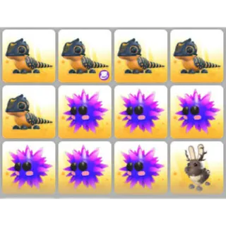BUNDLE PET X12