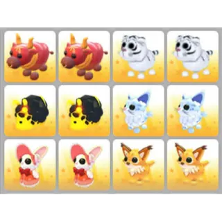 BUNDLE PET X12
