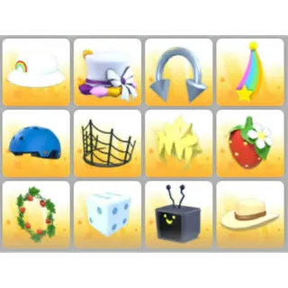 BUNDLE PET WEAR X12