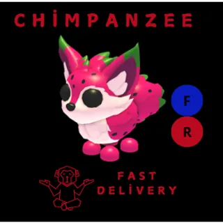 DRAGONFRUIT FOX FR
