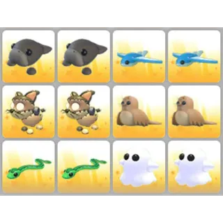 BUNDLE PET X12