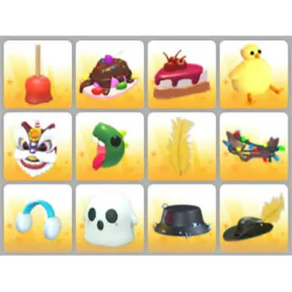 BUNDLE PET WEAR X12