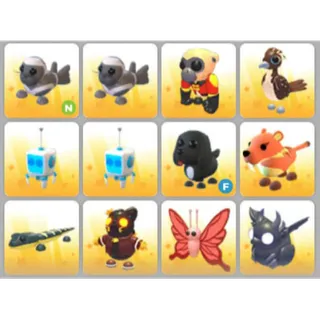BUNDLE PET X12