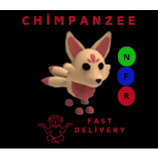 KITSUNE NFR