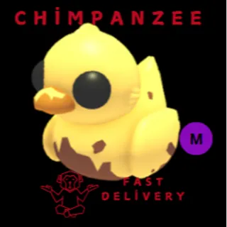 Mega Dirty Ducky