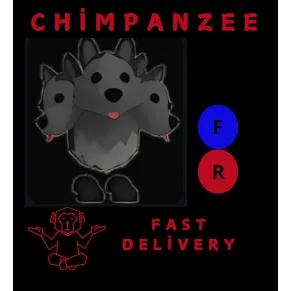 CERBERUS FR