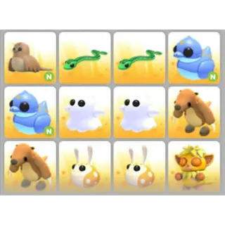 BUNDLE PET X12