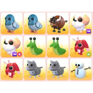 BUNDLE PET X12