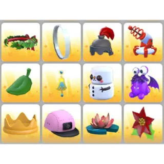 BUNDLE PET WEAR X12
