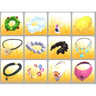 BUNDLE PET WEAR X12