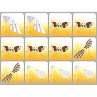 BUNDLE PET WEAR X12