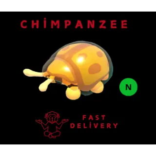 golden tortoise beetle NEON